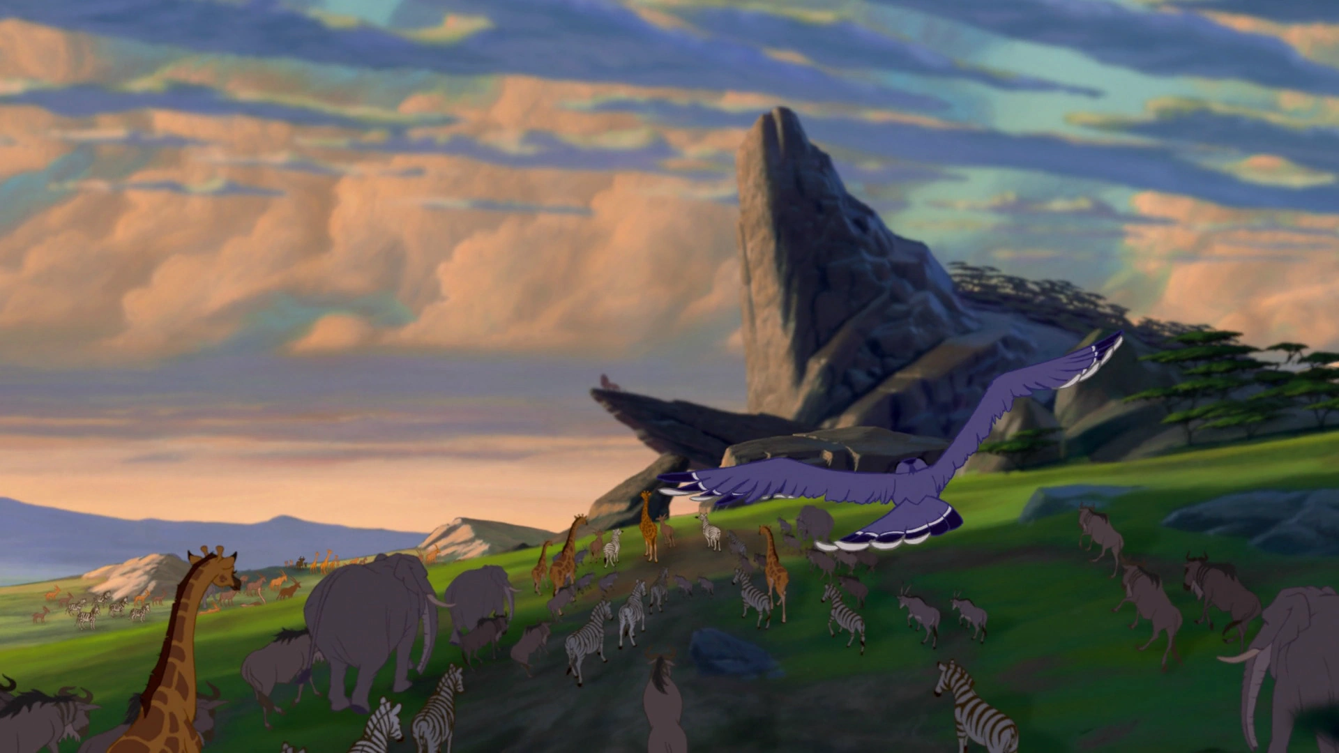 Zazu/Gallery The Lion King Wiki FANDOM powered by Wikia