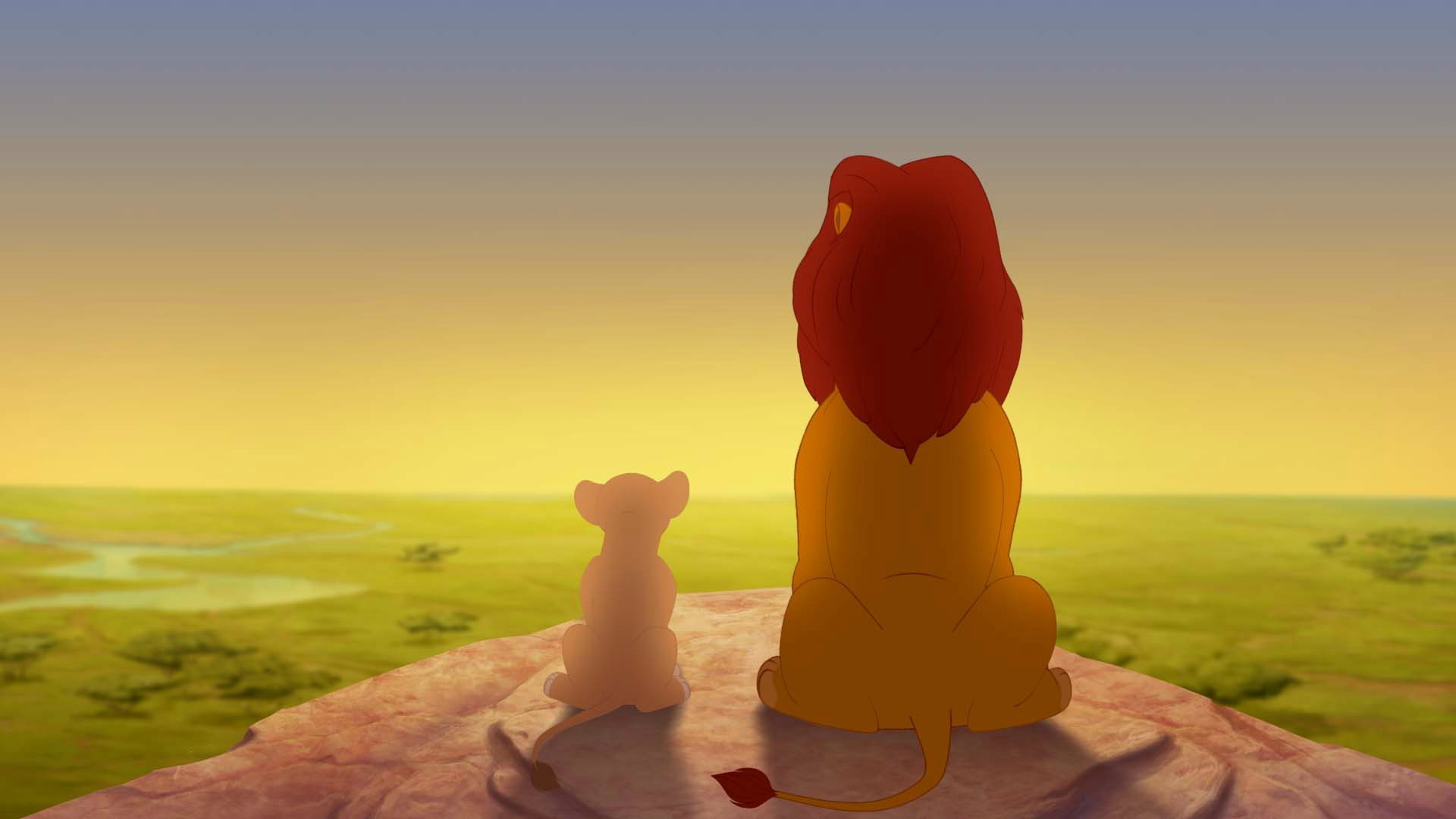 The circle of life is a famous example of a play in pattern the universe display to us. Source: http://vignette3.wikia.nocookie.net/lionking/images/a/af/Kiara_Simba_Sunset.png/revision/latest?cb=20151009180557