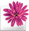 adobe onlocation cs5 manual adobe onlocation cs5 manual