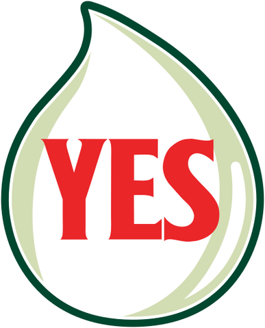 File:Yes logo 2005.svg | Logopedia | Fandom powered by Wikia
