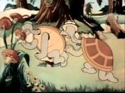 Don't Look Now turtles