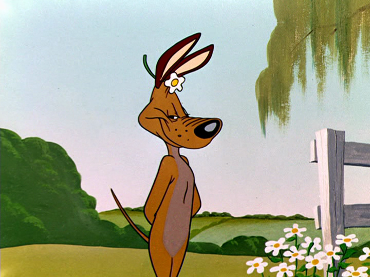 charlie dog looney tunes wiki fandom powered by wikia names that mean christmas
