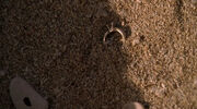 2x05-AndFound.jpg