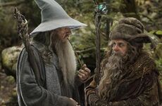 Gandalfandradagastbythe.jpg