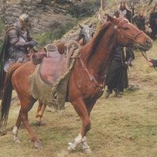 Hasufelks7.jpg
