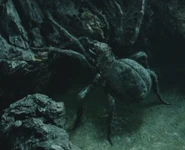 Shelob fighting.jpg (149 KB) Shelob fighting