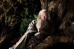 The Hobbit (film series) - Gandalf the Grey.jpg