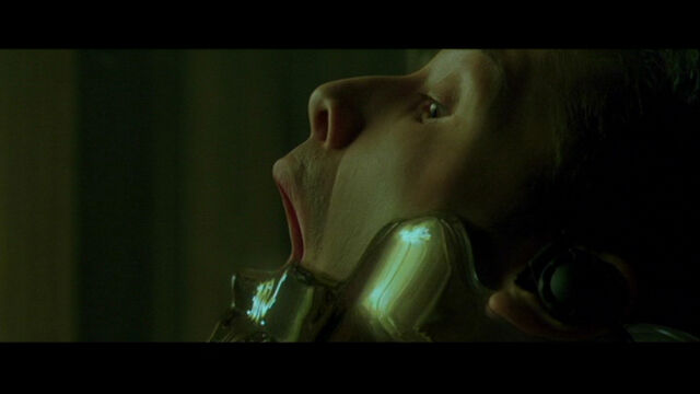 File:The Matrix 232.jpg