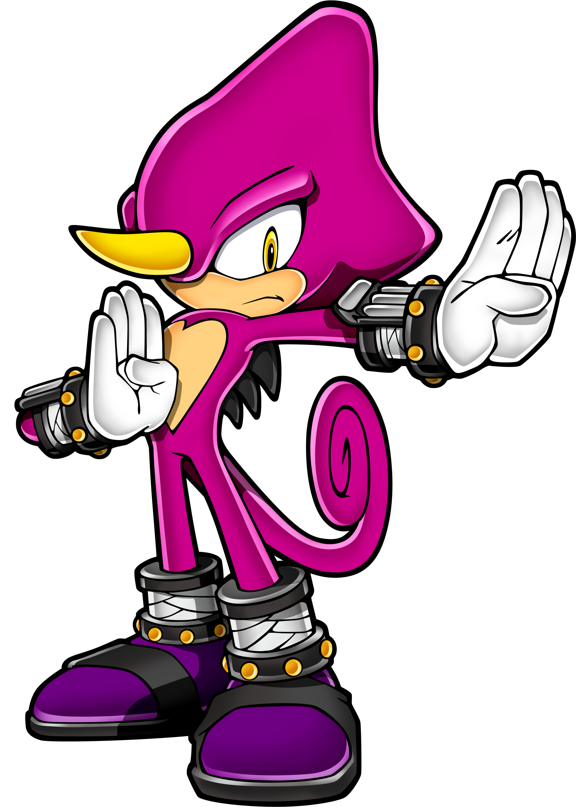 Amy Rose the Hedgehog | Sonic Boom Wiki | Fandom powered 