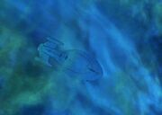 USS Voyager caught in neutronic storm