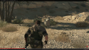MGSV Goat