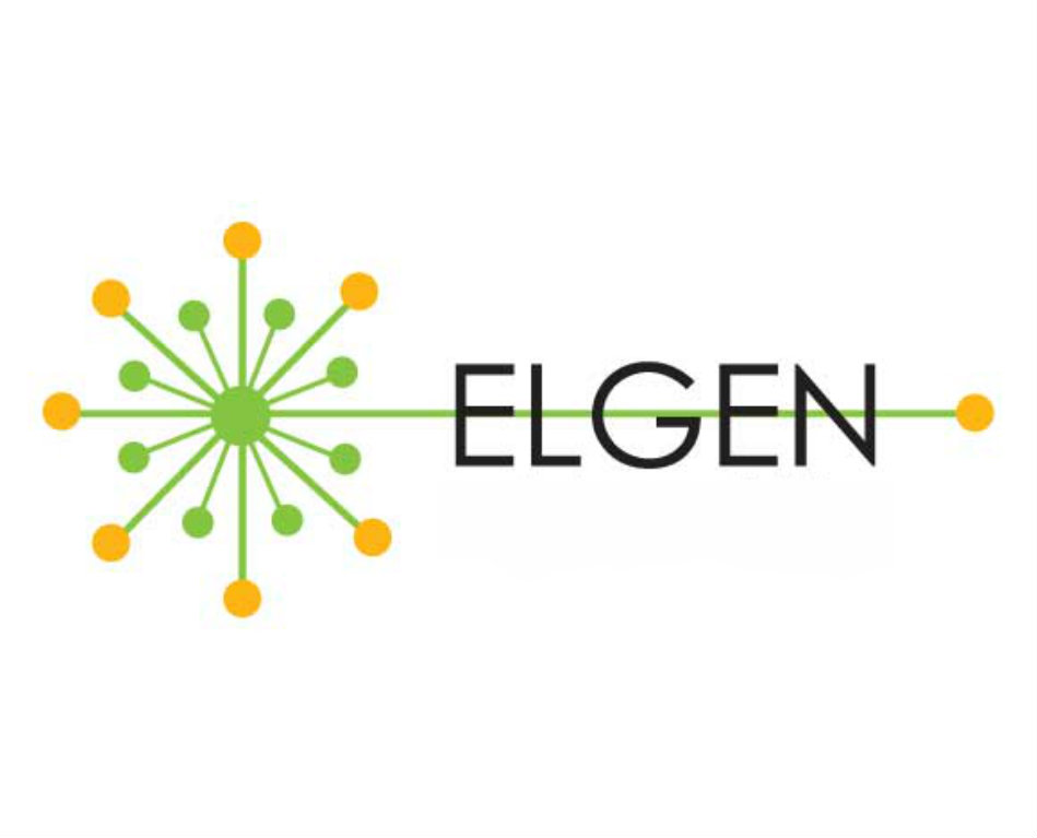 rise of the elgen rise of the elgen