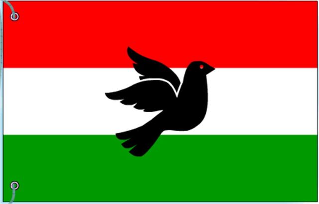 File:NEW GARGSTAN FLAG.jpg
