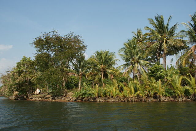 File:River scenery-dsc08492-1-.jpg