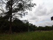 Photo0030