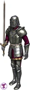H5NWCPaladin