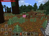NaturalPinkSheepPE