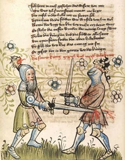 Cod. Pal. germ. 359, fol. 057v - Rosengarten zu Worms, Zweikampf