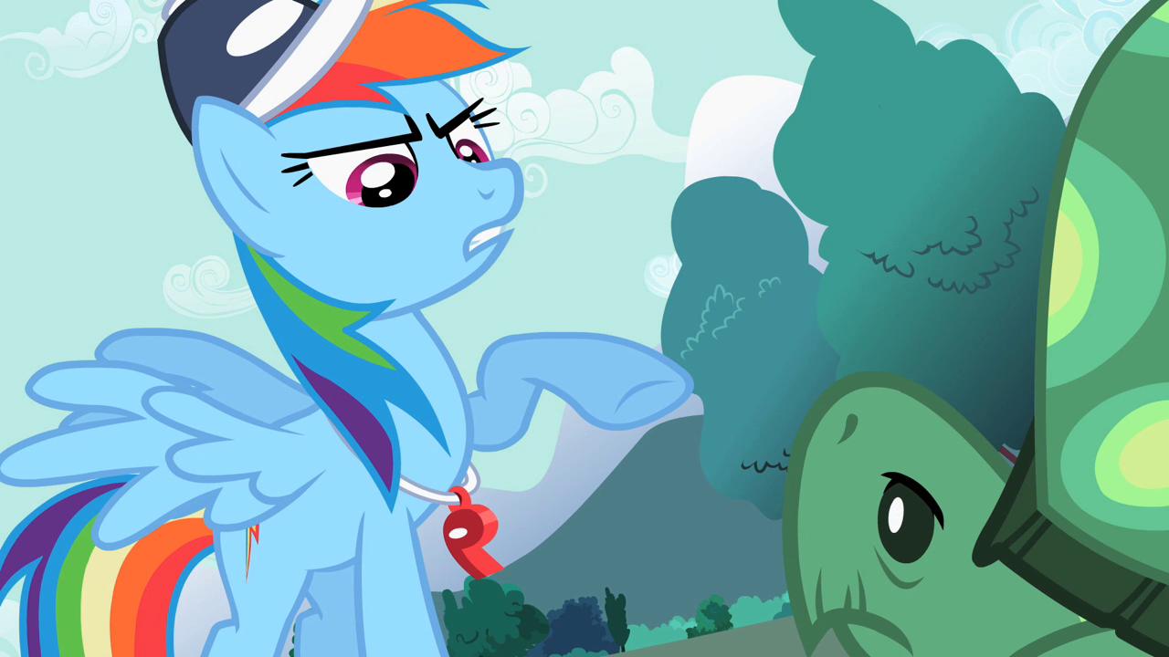 Rainbow_Dash_pointing_at_Tank_S2E07.png