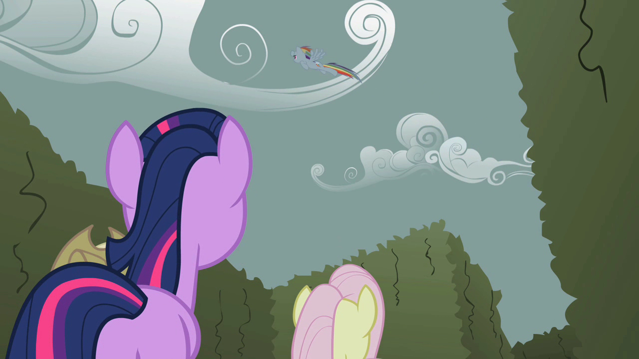Twilight_looking_at_Rainbow_Dash_flying_away_S2E01.png