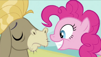 708px-Pinkie.png