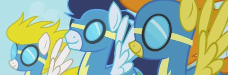 The Wonderbolts mugshot