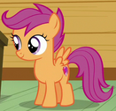 Scootaloo ID