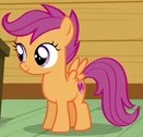 Scootaloo ID