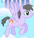 Rainbow Swoop