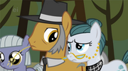 356px-Pinkie family wonders.png