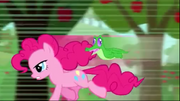 Pinkie Flash.png