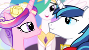 Princess Cadance and Shining Armor smiling at each other