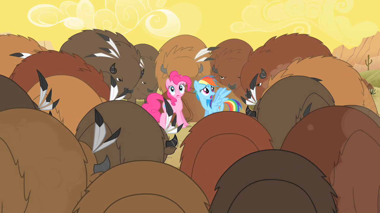 Buffalo_surround_Pinkie_and_Rainbow_Dash_S1E21.png