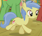 Apple Flora ID