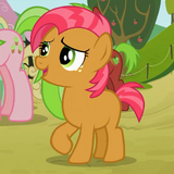 Babs Seed Apple Family