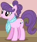 Suri Polomare ID