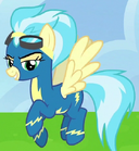 Misty Fly ID