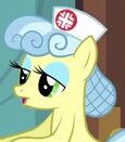 Nurse Snowheart