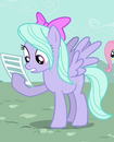 Flitter ID