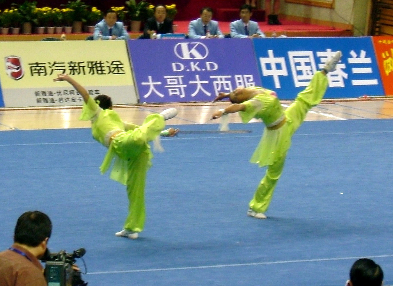 wushu techniques forms