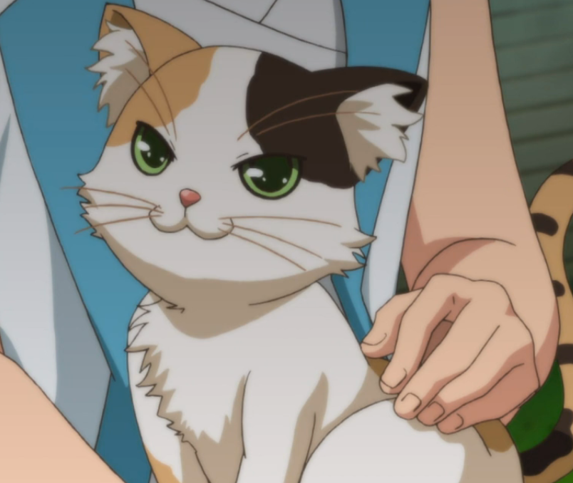 Calico Cat Mondaiji tachi ga Isekai Kara Kuru Sō Desu yo? Wiki