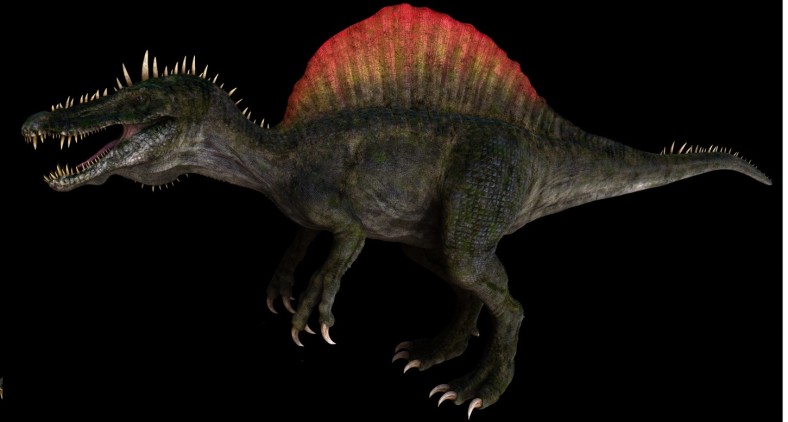 the biggest spinosaurus