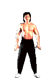Resultado de imagen para liu kang mk1