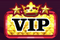 Star VIP logo