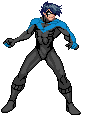 Char nightwing