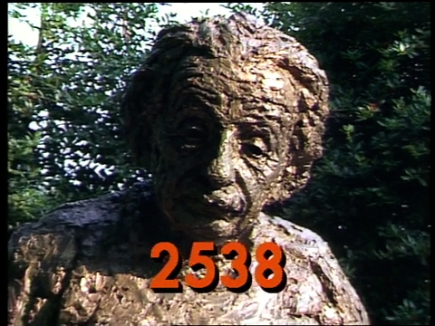 2538.jpg