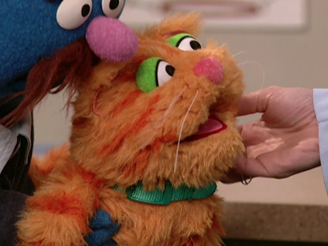 Fluffy (Mr. Johnson's pet) Muppet Wiki Fandom powered by Wikia