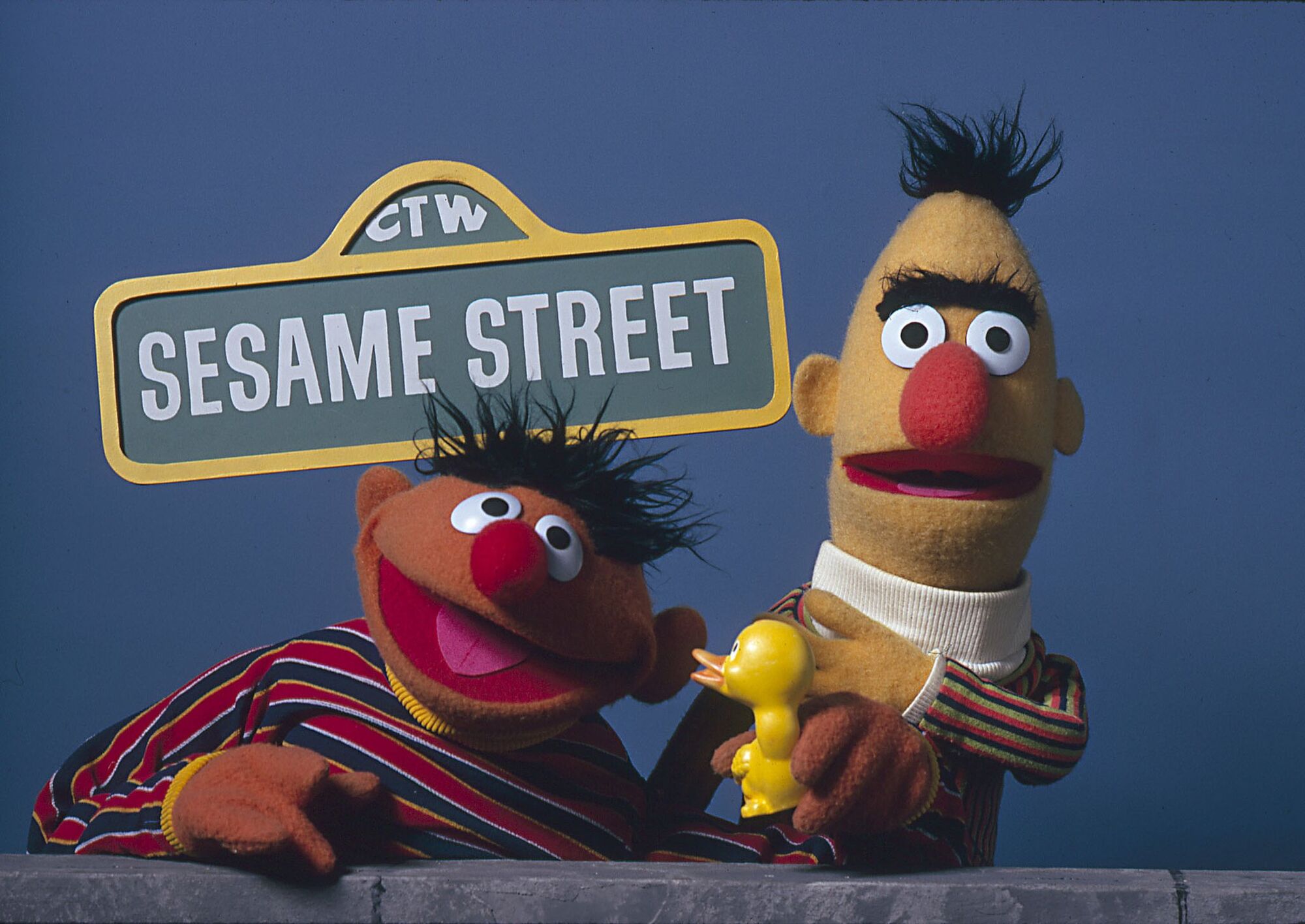 were big bird and elmo gay free gay ass pound movie