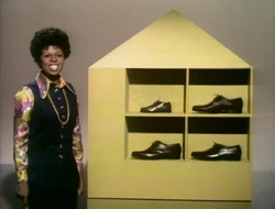 Susanoneoftheseshoes