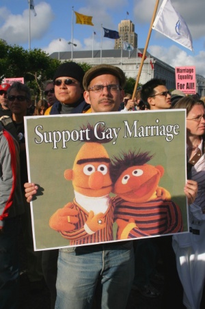 Bert And Ernie Gay Couple 46